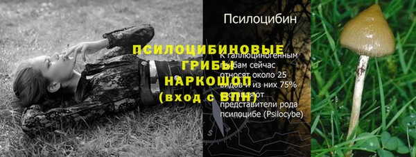 метамфетамин Алексин