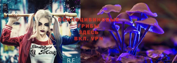 дмт Алзамай
