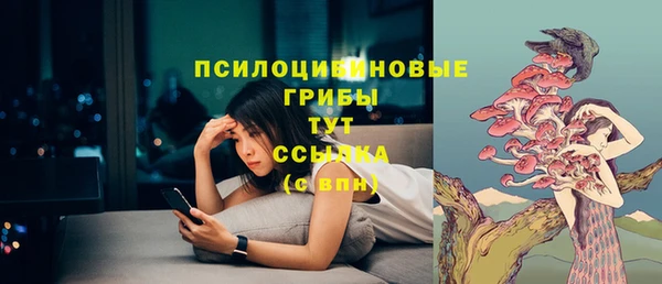 дмт Алзамай