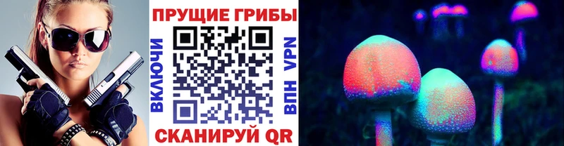 дарк нет Telegram  Серов  Псилоцибиновые грибы MAGIC MUSHROOMS 