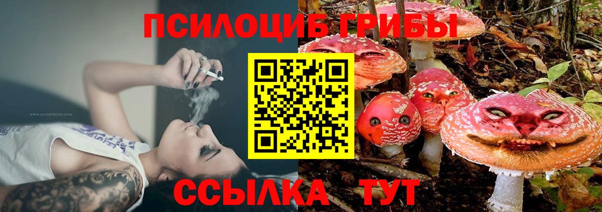 Галлюциногенные грибы GOLDEN TEACHER Серов